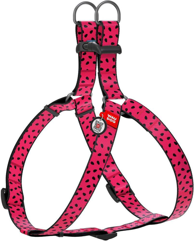 ΣΑΜΑΡΑΚΙ WAUDOG WATERMELON PLASTIC FASTEX (10MM / 28-40CM) WAUDOG