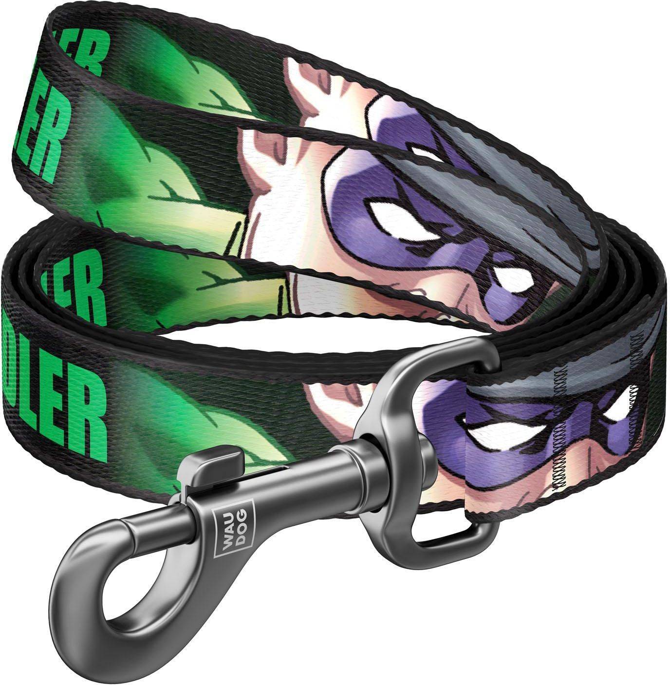 ΛΟΥΡΑΚΙ WAUDOG RIDDLER (25MM X 122CM)