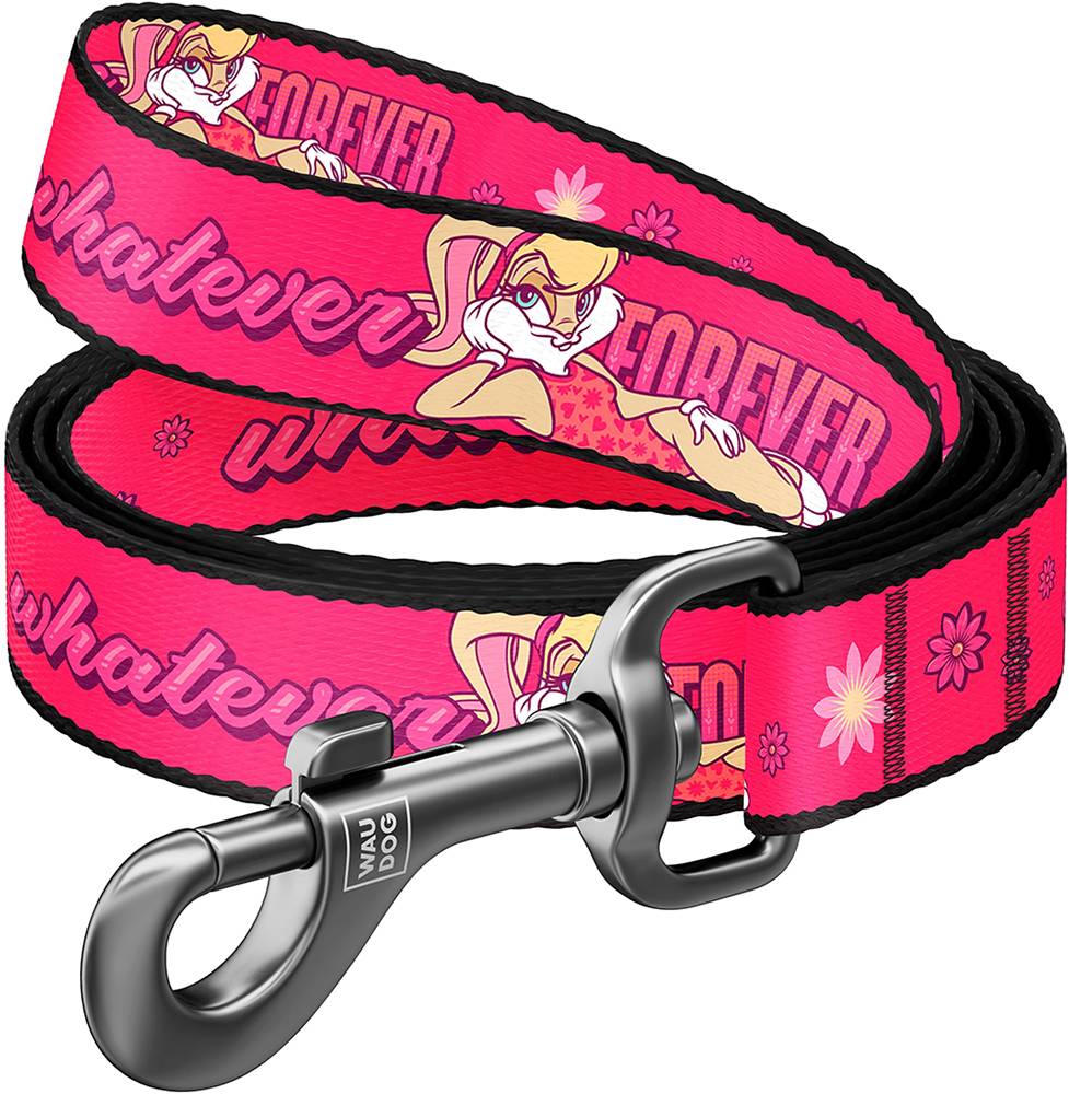 ΛΟΥΡΑΚΙ WAUDOG LOONEY 6 (20MM X 122CM) WAUDOG