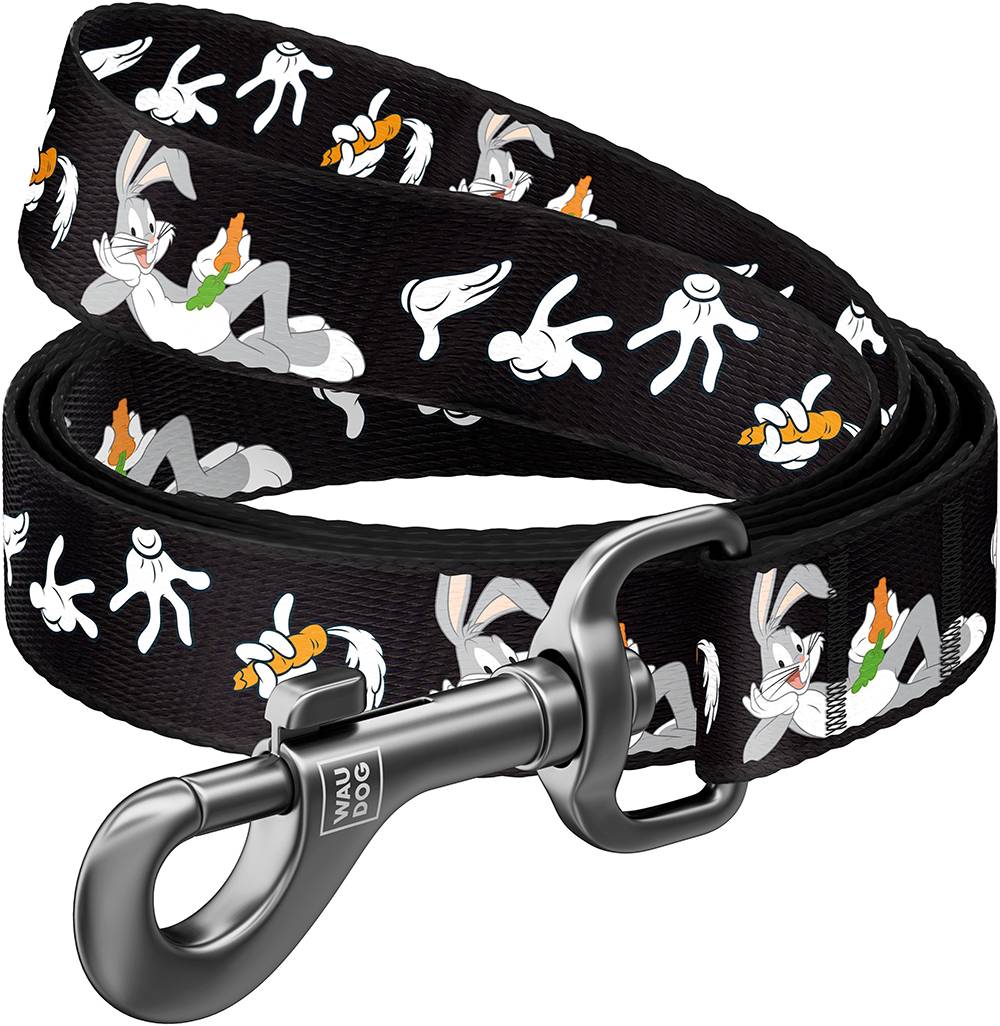 ΛΟΥΡΑΚΙ WAUDOG LOONEY 7 (20MM X 122CM)