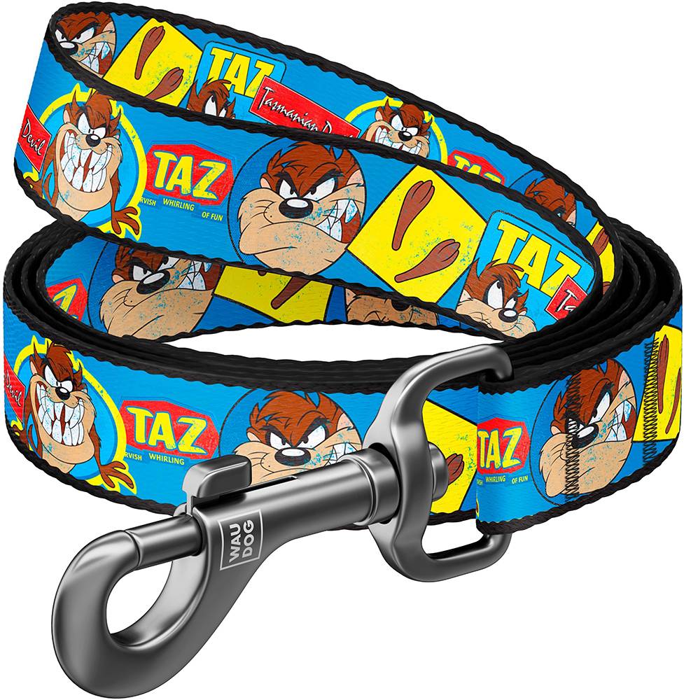 WAUDOG ΛΟΥΡΑΚΙ WAUDOG LOONEY 8 (20MM X 122CM)