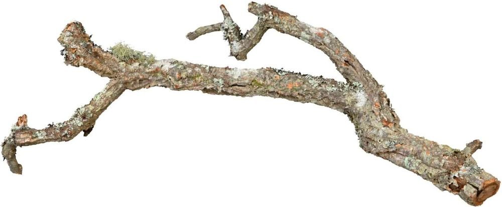 ΚΛΑΔΙΑ ΦΕΛΛΟΥ TRIXIE ΑΝΑΜΕΙΚΤΑ ΦΥΣΙΚΑ (1KG)