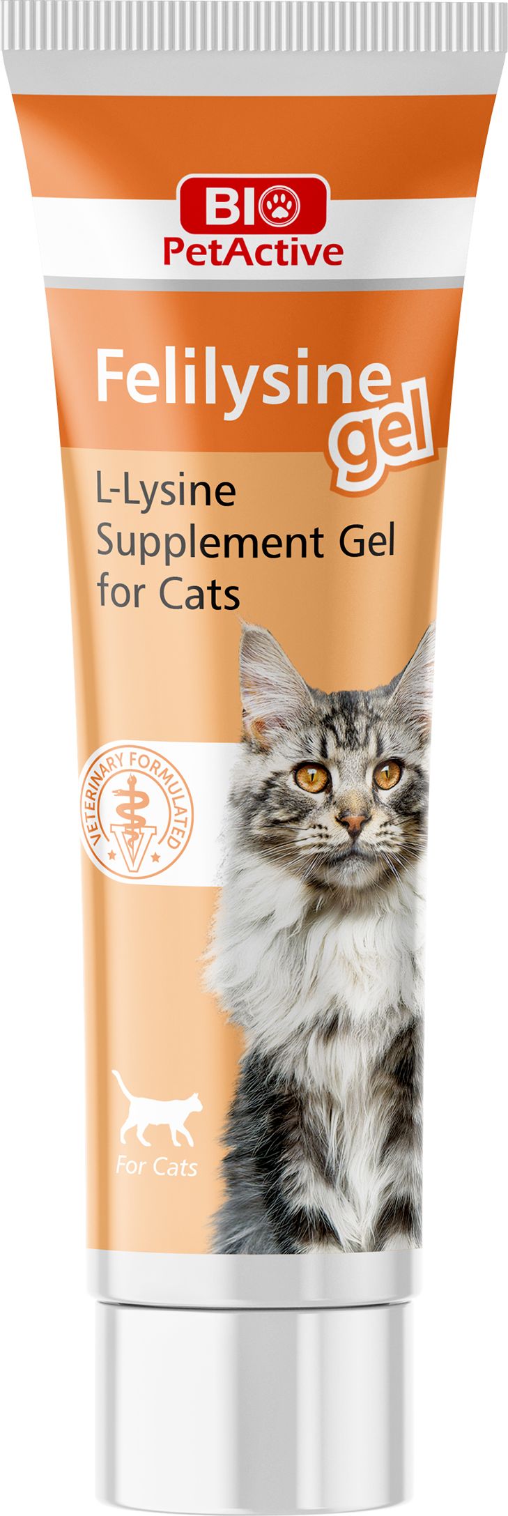 BIO PETACTIVE ΣΥΜΠΛΗΡΩΜΑ ΔΙΑΤΡΟΦΗΣ BIO PETACTIVE FELILYSINE GEL / L-LYSINE (100ML)