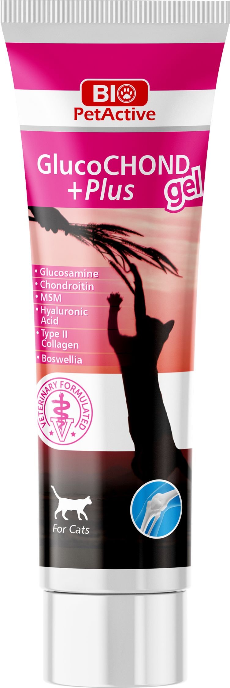 ΣΥΜΠΛΗΡΩΜΑ ΔΙΑΤΡΟΦΗΣ BIO PETACTIVE GLUCOCHOND PLUS GEL ΥΠΟΣΤΗΡΙΞΗ ΑΡΘΡΩΣΕΩΝ (100ML) BIO PETACTIVE