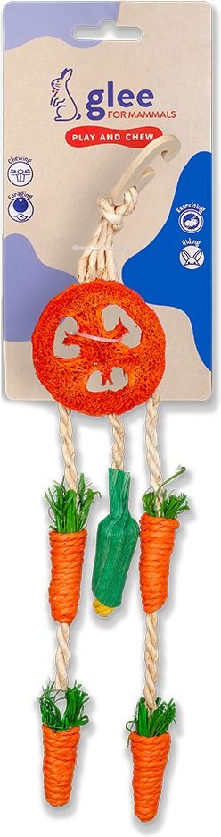GLEE ΠΑΙΧΝΙΔΙ ΤΡΩΚΤΙΚΩΝ GLEE HANGING TREAT WHEEL (25CM)