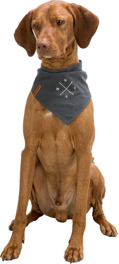 ΜΠΑΝΤΑΝΑ ΣΚΥΛΟΥ TRIXIE BE NORDIC NECKERCHIEF ΓΚΡΙ (30CM) TRIXIE