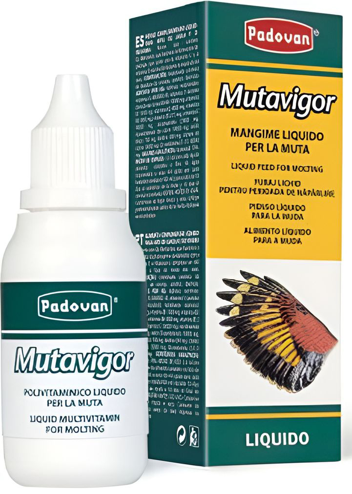 PADOVAN ΒΙΤΑΜΙΝΗ PADOVAN MULTAVIGOR ΠΤΕΡΟΡΡΟΙΑ (30ML)
