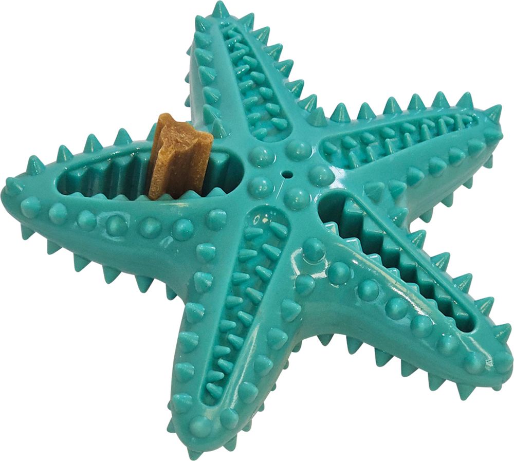 ΠΑΙΧΝΙΔΙ ΣΚΥΛΟΥ NOBBY TPR STARFISH DENTAL LINE ΓΑΛΑΖΙΟ (16CM)