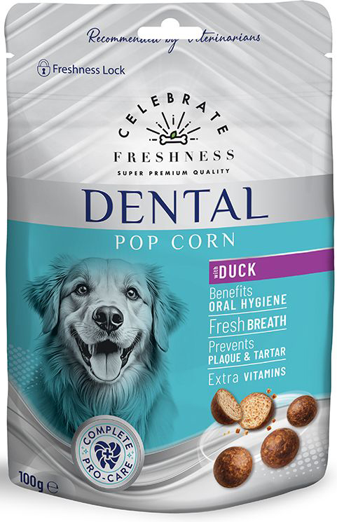 ΣΝΑΚ CELEBRATE FRESHNESS DENTAL POP CORN ΠΑΠΙΑ (100GR) CELEBRATE FRESHNESS
