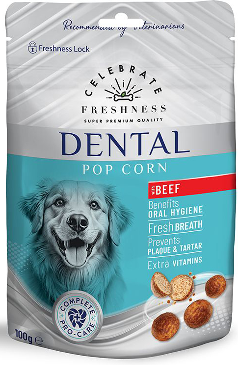 ΣΝΑΚ CELEBRATE FRESHNESS DENTAL POP CORN ΒΟΔΙΝΟ (100GR) CELEBRATE FRESHNESS