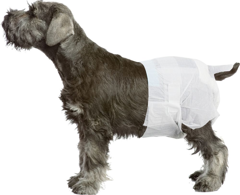 ΠΑΝΑ ΒΡΑΚΑΚΙ PAWISE FEMALE (XL 9KG ΚΑΙ ΑΝΩ /12ΤΜΧ) PAWISE