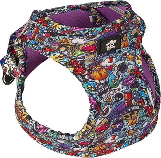 ΣΑΜΑΡΑΚΙ GLEE PLATINUM ΤYΠΟΥ STEP IN GHOST CITY (XSMALL 41CM-51CM) GLEE