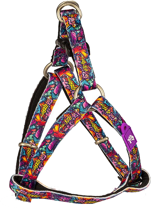 ΣΑΜΑΡΑΚΙ GLEE PLATINUM ΤΥΠΟΥ Α GRITTY (XXSMALL 25-36CM) GLEE