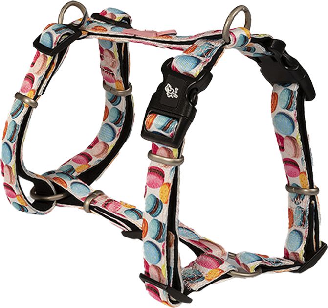 ΣΑΜΑΡΑΚΙ GLEE PLATINUM ΤΥΠΟΥ Η MACARON (XSMALL 41-52CM)