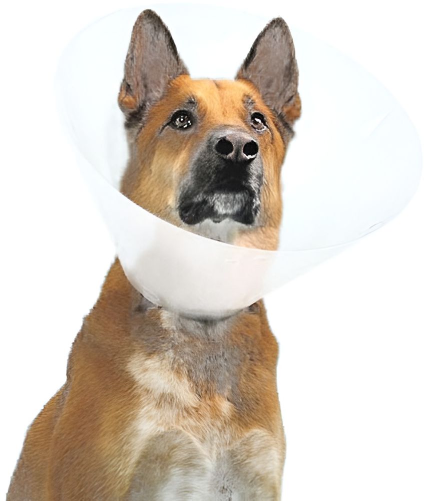 ΠΡΟΣΤΑΤΕΥΤΙΚΟ ΚΟΛΑΡΟ KVP ΕΛΙΣΑΒΕΤΙΑΝΟ QUICK FIT (40CM)