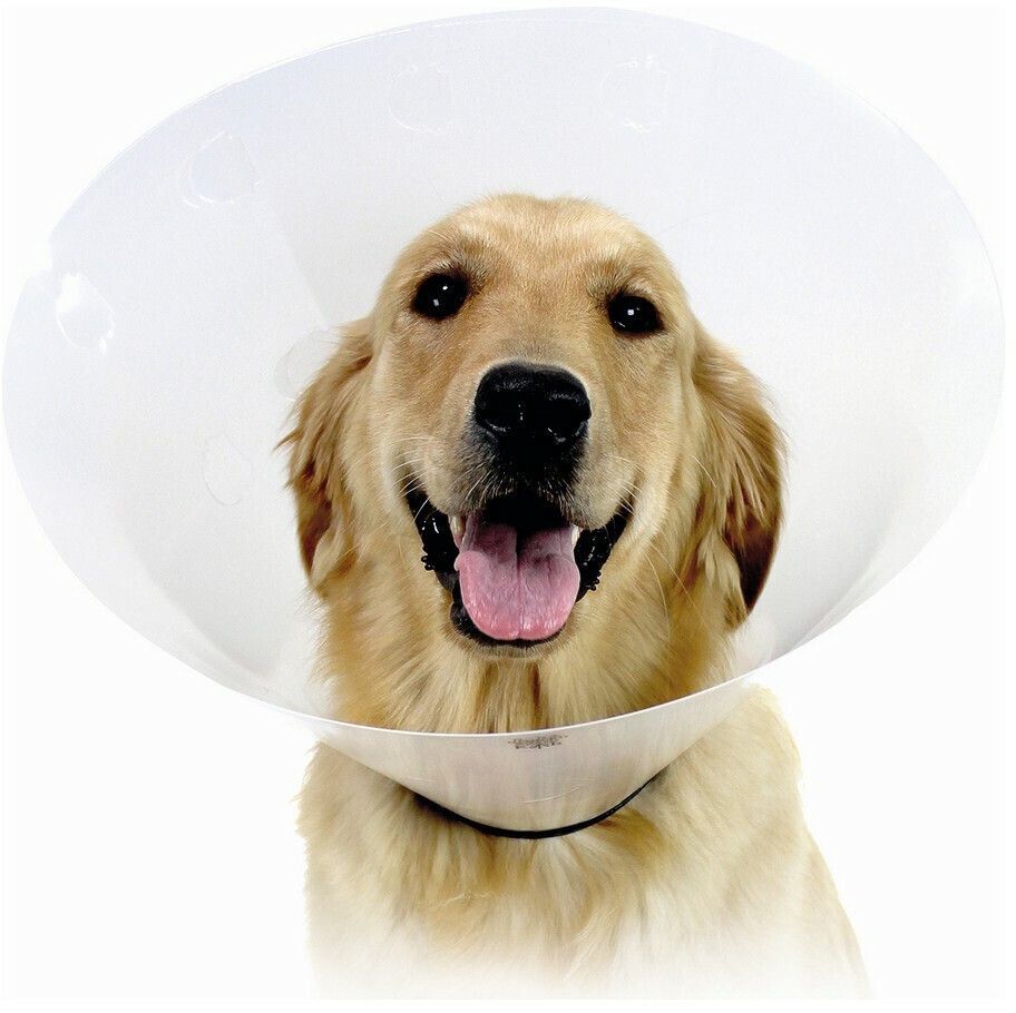 ΠΡΟΣΤΑΤΕΥΤΙΚΟ ΚΟΛΑΡΟ KVP CHECK ΔΙΑΦΑΝΕΣ (25CM) KVP