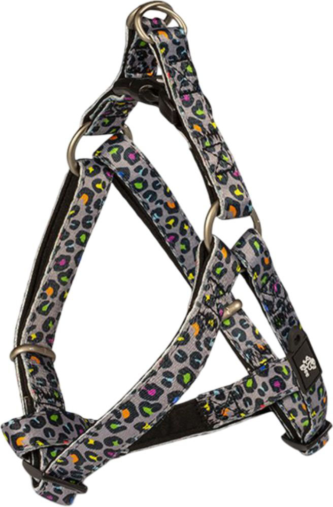 ΣΑΜΑΡΑΚΙ GLEE PLATINUM ΤΥΠΟΥ A INDY LEO (XSMALL 41-51CM) GLEE