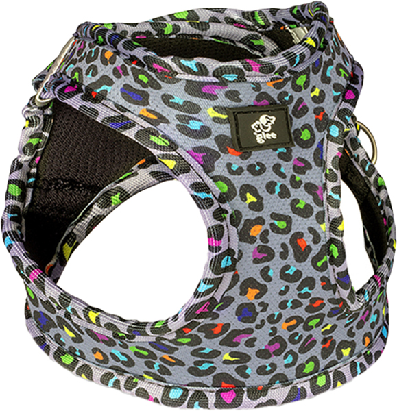 ΣΑΜΑΡΑΚΙ GLEE PLATINUM ΤΥΠΟΥ STEP IN INDY LEO (XLARGE 48-54CM)