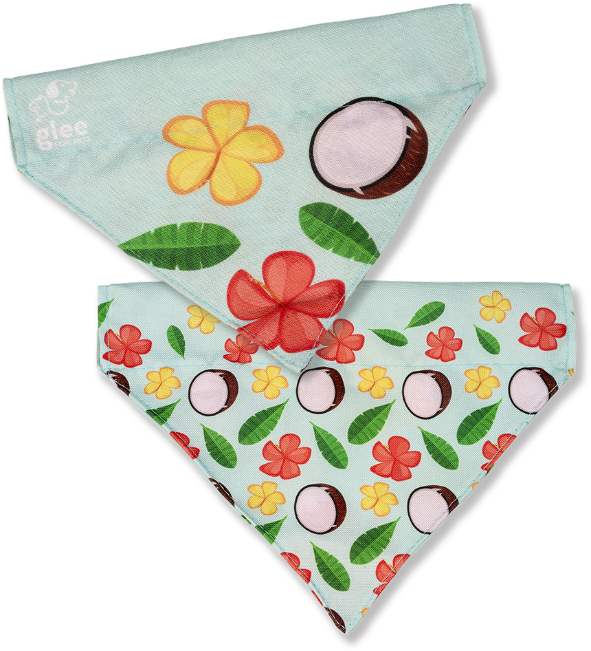 ΜΠΑΝΤΑΝΑ GLEE PLATINUM AQUA BATIDA (XSMALL/SMALL 15,5X13X3,5CM)