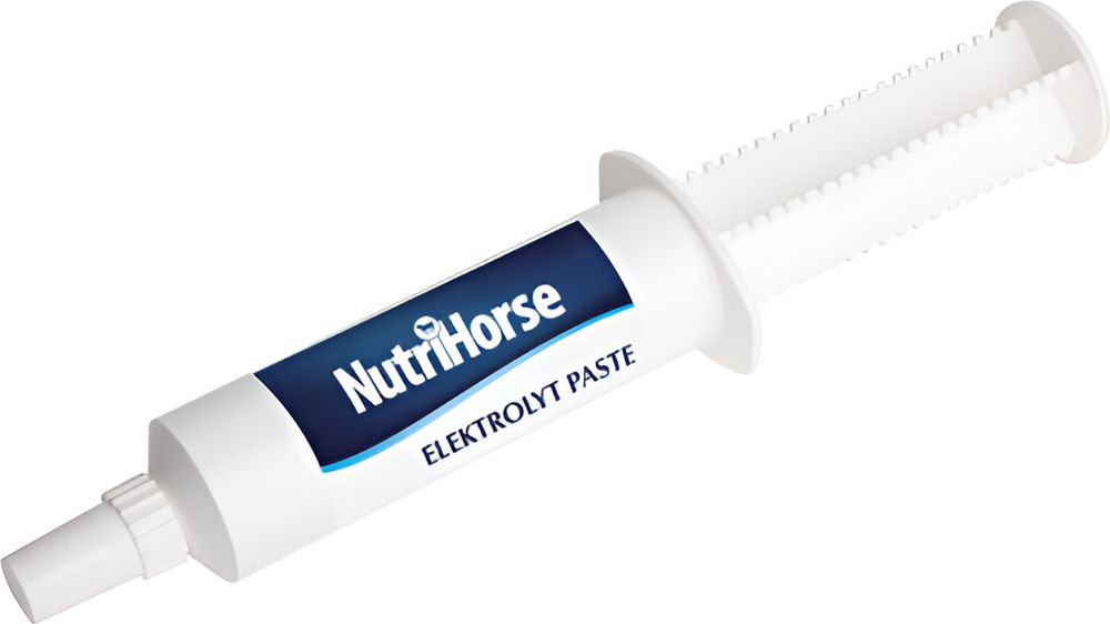 ΣΥΜΠΛΗΡΩΜΑ ΔΙΑΤΡΟΦΗΣ NUTRIHORSE ELEKTROLYT PASTE (120GR) NUTRIHORSE