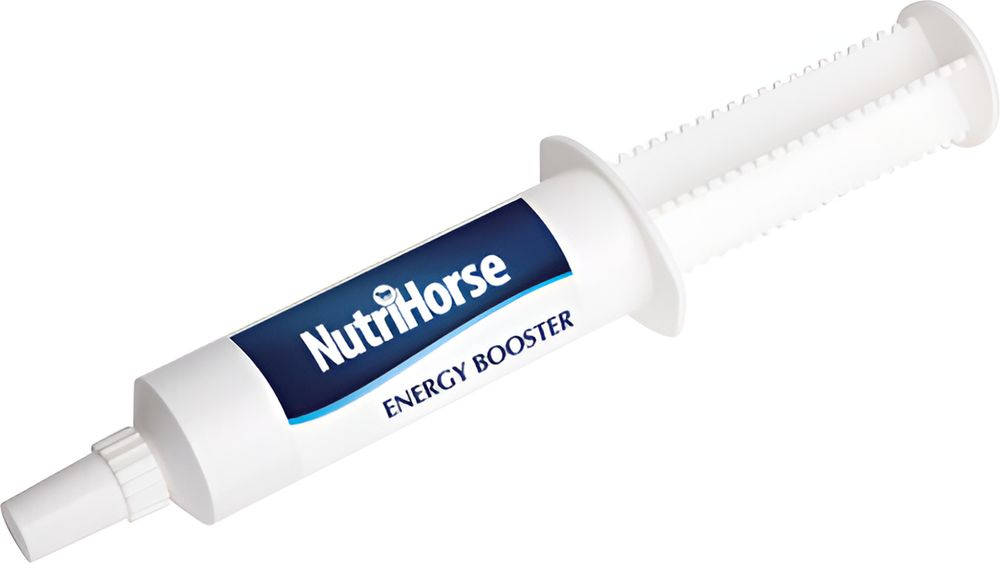 ΣΥΜΠΛΗΡΩΜΑ ΔΙΑΤΡΟΦΗΣ NUTRIHORSE ENERGY BOOSTER (120GR)