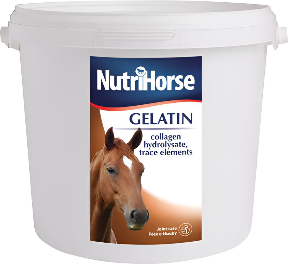 ΣΥΜΠΛΗΡΩΜΑ ΔΙΑΤΡΟΦΗΣ NUTRIHORSE GELATIN (1KG)