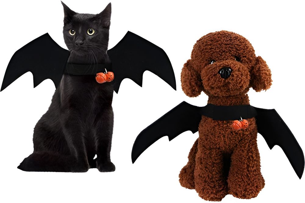 VALUE IMPORTS ΑΠΟΚΡΙΑΤΙΚΑ ΦΤΕΡΑ VALUE IMPORTS ΣΚΥΛΟΥ ΓΑΤΑΣ (ΕΩΣ 41CM)