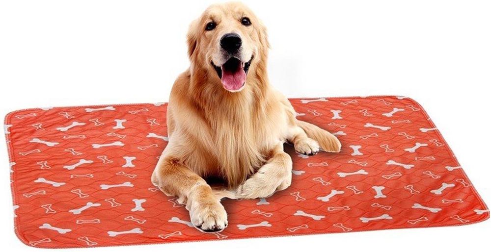 VALUE IMPORTS ΕΠΙΔΑΠΕΔΙΑ ΠΑΝΑ ΣΚΥΛΟΥ VALUE IMPORTS ΠΟΛΛΑΠΛΩΝ ΧΡΗΣΕΩΝ ΠΟΡΤΟΚΑΛΙ (90X80CM)