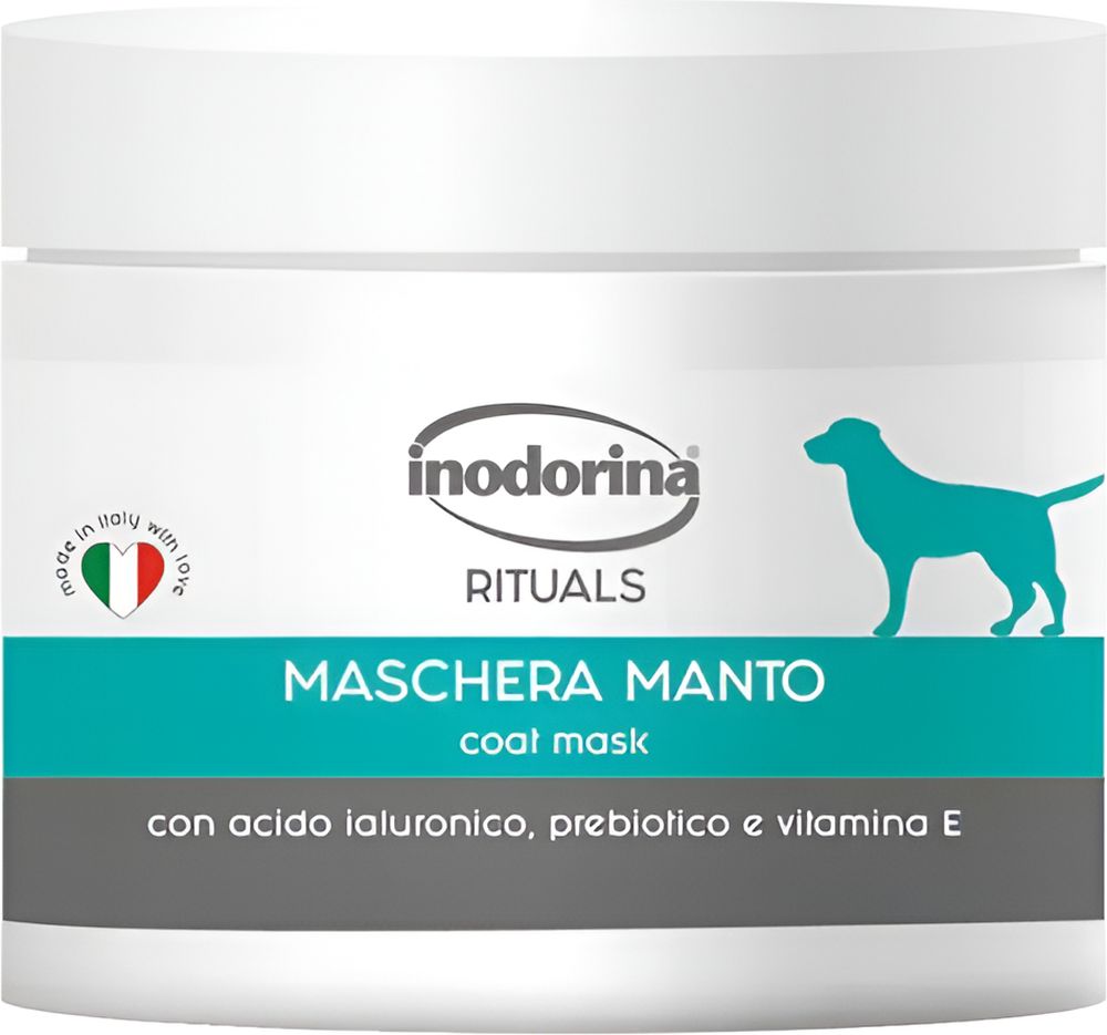 ΜΑΣΚΑ INODORINA ΑΝΑΠΛΑΣΗΣ ΤΡΙΧΩΜΑΤΟΣ (100ML)