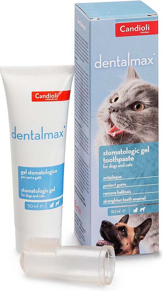 ΣΤΟΜΑΤΙΚΟ GEL CANDIOLI DENTALMAX (50ML)