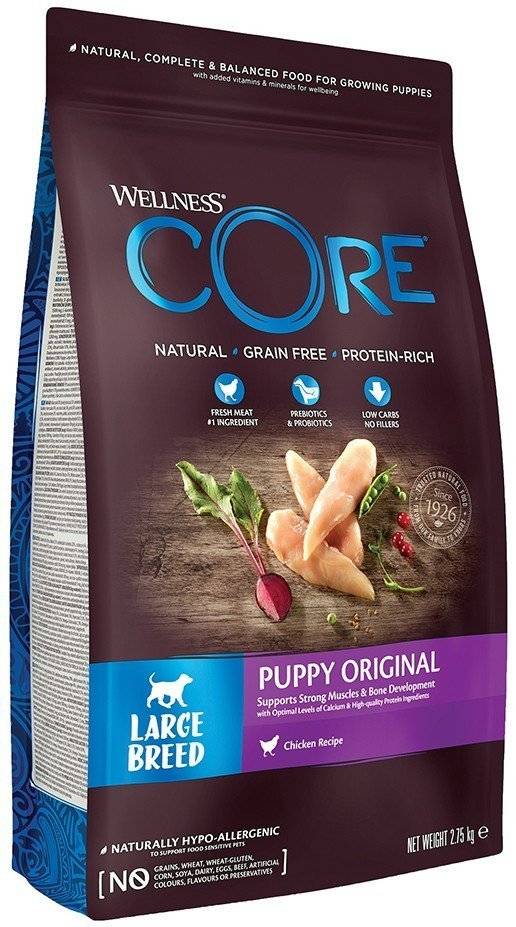 ΤΡΟΦΗ ΣΚΥΛΟΥ WELLNESS CORE PUPPY LARGE BREED ΓΑΛΟΠΟΥΛΑ - ΚΟΤΟΠΟΥΛΟ 10KG CORE
