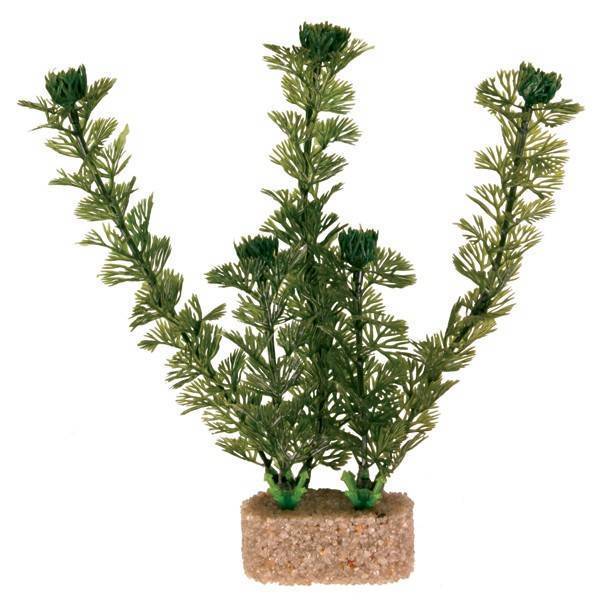 ΔΙΑΚΟΣΜΗΤΙΚΑ ΕΝΥΔΡΕΙΟΥ TRIXIE 6 ΠΛΑΣΤΙΚΑ ΦΥΤΑ ΕΝΥΔΡΕΙΟΥ ΜΕΣΑΙΑ 20CM