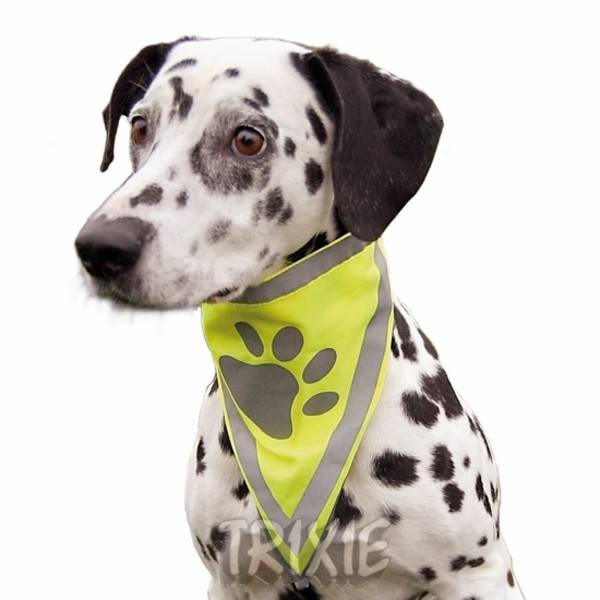 ΜΠΑΝΤΑΝΑ TRIXIE ΦΩΣΦΟΡΙΖΟΥΣΑ (L/XL) TRIXIE