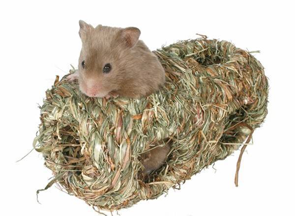 ΦΩΛΙΑ TRIXIE ΑΠΟ ΧΟΡΤΟ ΔΙΠΛΗ ΓΙΑ ΠΟΝΤΙΚΙ ΚΑΙ ΧΑΜΣΤΕΡ 19CM