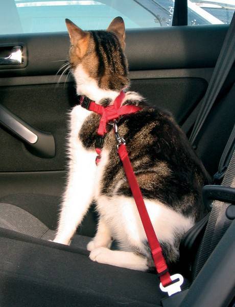 ΖΩΝΗ ΑΣΦΑΛΕΙΑΣ TRIXIE ΓΙΑ ΓΑΤΕΣ TRIXIE