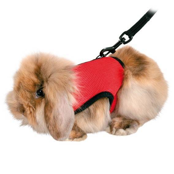TRIXIE ΣΑΜΑΡΑΚΙ TRIXIE ΓΙΑ ΙΝΔΙΚΑ ΧΟΙΡΙΔΙΑ ΓΑΛΑΖΙΟ 18-25CM