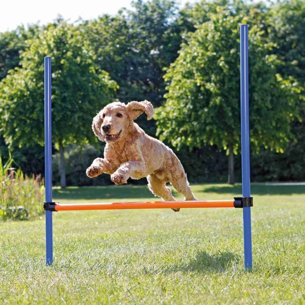 ΕΜΠΟΔΙΟ AGILITY 129Χ115 CM TRIXIE
