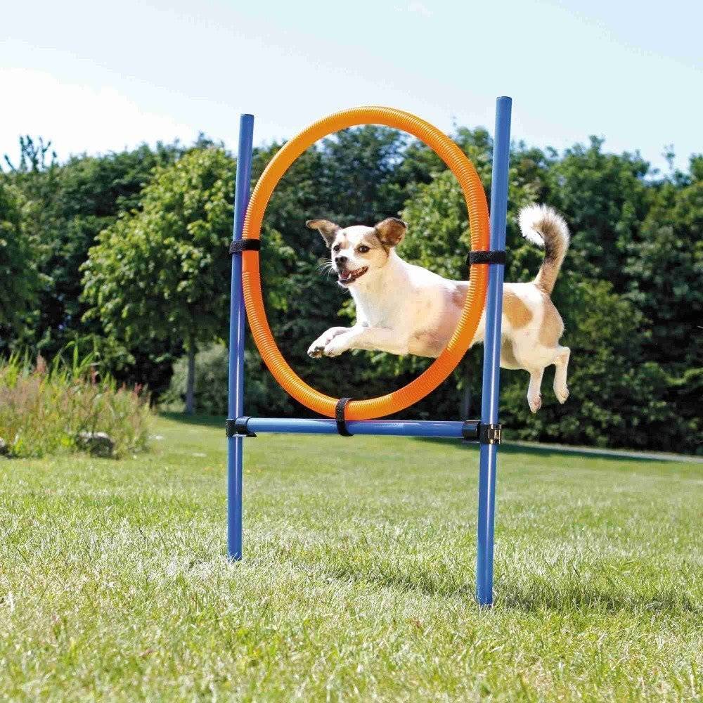 ΚΡΙΚΟΣ AGILITY 115Χ65 CM TRIXIE