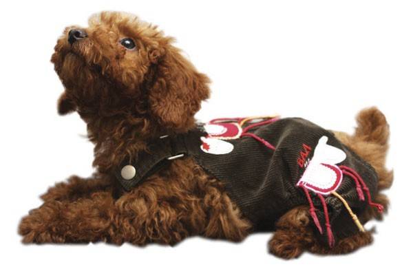 PETSLAND ΠΑΝΤΕΛΟΝΙ ΜΕ ΤΙΡΑΝΤΕΣ (S)