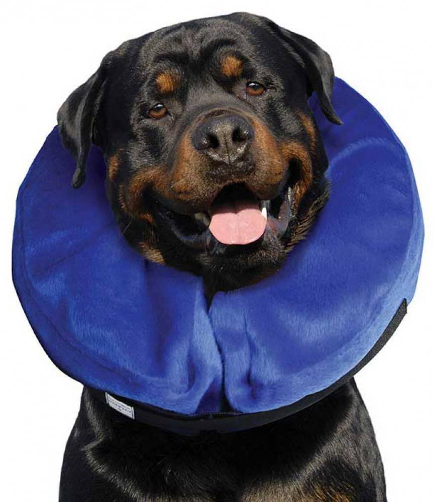 KVP ΠΡΟΣΤΑΤΕΥΤΙΚΟ ΚΟΛΑΡΟ KVP ΕΛΙΣΑΒΕΤΙΑΝΟ KONG CLOUD ΦΟΥΣΚΩΤΟ L