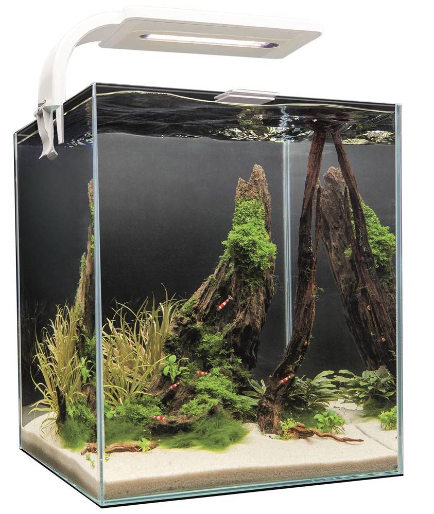 ΕΝΥΔΡΕΙΟ AQUAEL SHRIMPSET DAY-NIGHT 10 ΛΕΥΚΟ 20X20X25CM