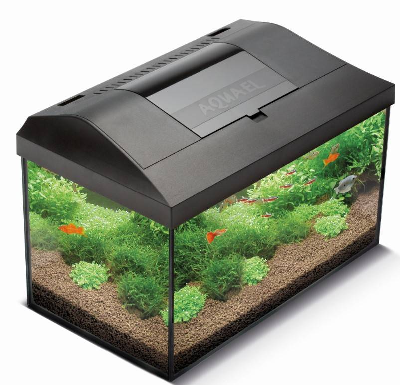 ΕΝΥΔΡΕΙΟ AQUAEL LEDDY PLUS 75 DAY-NIGHT ΜΑΥΡΟ 40X25X25CM AQUAEL