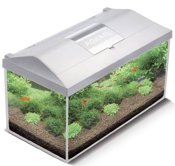 ΕΝΥΔΡΕΙΟ AQUAEL LEDDY PLUS 75 DAY-NIGHT ΛΕΥΚΟ 40X25X25CM AQUAEL