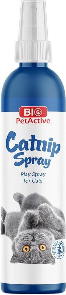 CATNIP SPRAY BIO PETACTIVE ΓΙΑ ΓΑΤΕΣ 100ML