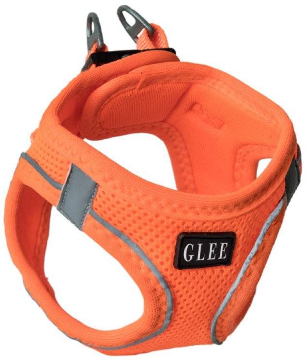 ΣΑΜΑΡΑΚΙ GLEE JOY ΠΟΡΤΟΚΑΛΙ (3XS)