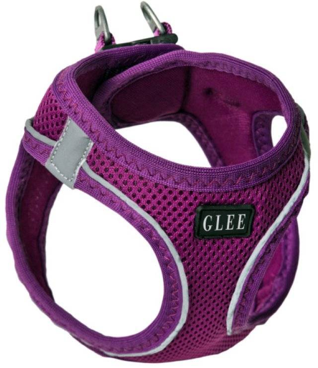 ΣΑΜΑΡΑΚΙ GLEE JOY ΜΩΒ (2XS) GLEE