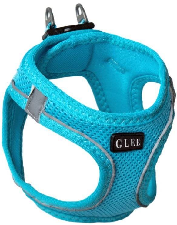 ΣΑΜΑΡΑΚΙ GLEE JOY ΜΠΛΕ (3XS) GLEE