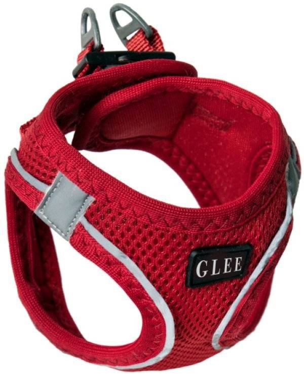 ΣΑΜΑΡΑΚΙ GLEE JOY ΚΟΚΚΙΝΟ (3XS) GLEE