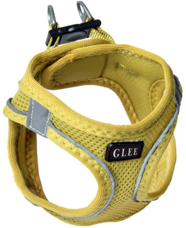 ΣΑΜΑΡΑΚΙ GLEE JOY ΚΙΤΡΙΝΟ (XL) GLEE