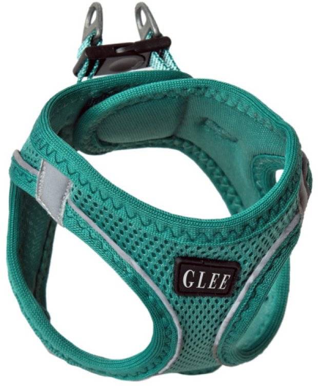 ΣΑΜΑΡΑΚΙ GLEE JOY ΠΕΤΡΟΛ (XL)